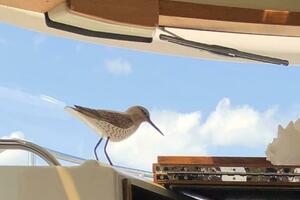 Integrity 27ft Ranger Tugs Yacht For Sale