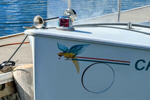 Magic In The Water 20ft Duffy Yacht For Sale