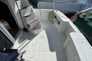 Nevadatude 39ft Mainship Yacht For Sale