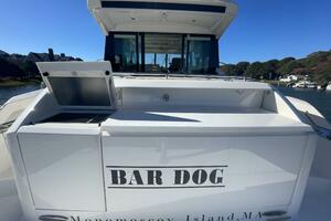 BAR DOG Worth Avenue Yachts