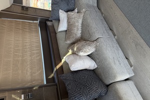 72FT (21.95M) GALEON