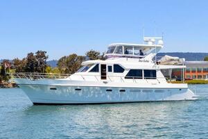 DOS GATOS Worth Avenue Yachts