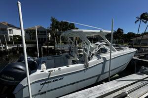 25ft World Cat Yacht For Sale