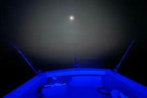 32ft Holland Yacht For Sale