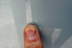 28ft Cobia Yacht For Sale