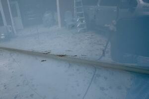 28ft Cobia Yacht For Sale