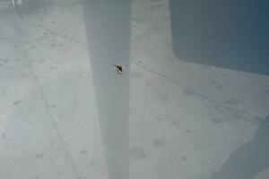 28ft Cobia Yacht For Sale