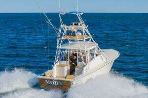 1987 Custom Carolina Island Boatworks 34 Express thumbnail 5