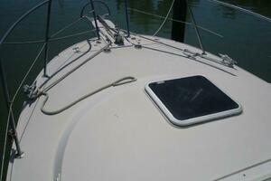 30ft Albin Yacht For Sale