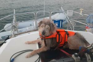 36ft S2 Yacht For Sale