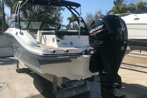 19ft Sea Ray Yacht For Sale