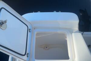 Photo 5836745 for 2019 Sea Fox 200 Viper  