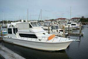 2008 Novatec Islander 60 thumbnail 3