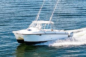 BOBCAT 30ft Powercat Yacht For Sale