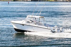 BOBCAT 30ft Powercat Yacht For Sale