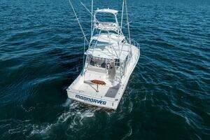 2007 Cabo 40 Express thumbnail 7