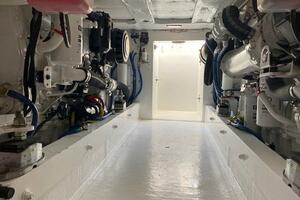 47FT (14.33M) BUDDY DAVIS