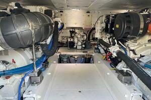 47FT (14.33M) BUDDY DAVIS