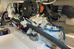 47FT (14.33M) BUDDY DAVIS