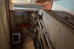 47FT (14.33M) BUDDY DAVIS