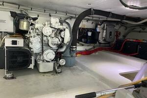 47FT (14.33M) BUDDY DAVIS