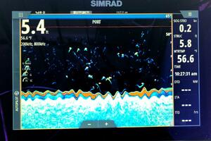 30ft Osprey Pilothouse Yacht For Sale