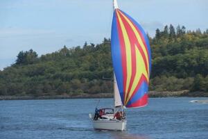 S V Margo 33ft Delphia Yacht For Sale