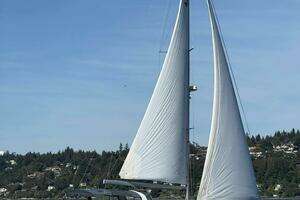 2019 Beneteau Oceanis 46.1 thumbnail 5
