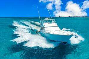 1999 Viking 55 Convertible thumbnail 32