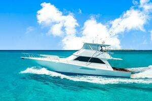1999 Viking 55 Convertible thumbnail 22