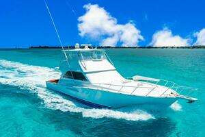 1999 Viking 55 Convertible thumbnail 24