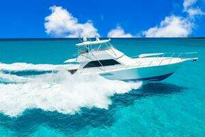 1999 Viking 55 Convertible thumbnail 45