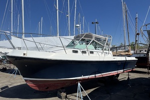 28ft Albin Yacht For Sale