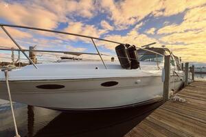 Lady Barb 40ft Sea Ray Yacht For Sale