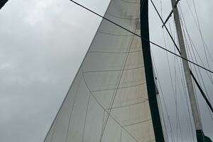 1979 Tayana 37 thumbnail 50