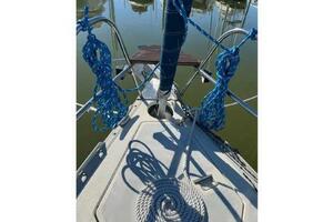 Picture of Catch My Drift