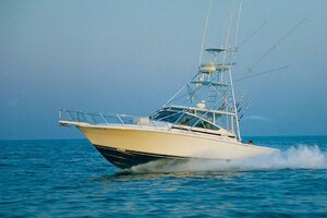 Benefit 38ft Blackfin Yacht For Sale