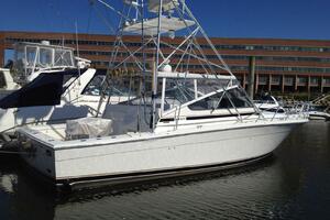 Benefit 38ft Blackfin Yacht For Sale