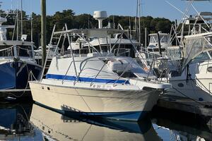29ft Luhrs Yacht For Sale