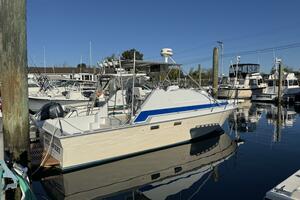 29ft Luhrs Yacht For Sale