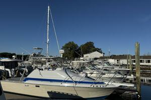29ft Luhrs Yacht For Sale