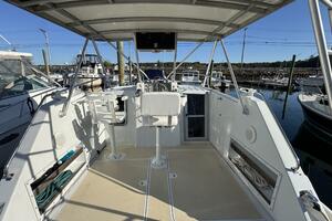 29ft Luhrs Yacht For Sale
