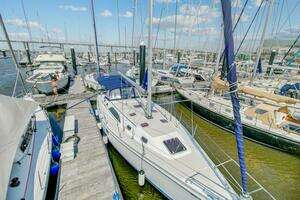 2011 Catalina 445 thumbnail 7