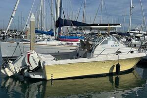 SUN DAZE 30ft Pro Line Yacht For Sale