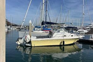 SUN DAZE 30ft Pro Line Yacht For Sale