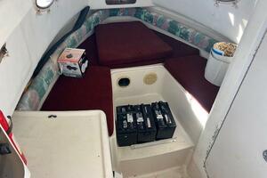 SUN DAZE 30ft Pro Line Yacht For Sale