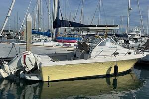 SUN DAZE 30ft Pro Line Yacht For Sale