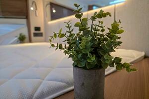 44ft Marex Yacht For Sale