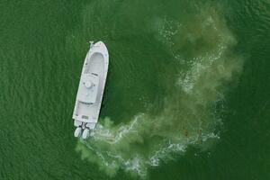 29ft Orion Yacht For Sale