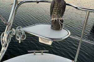 2010 Catalina 309 thumbnail 93